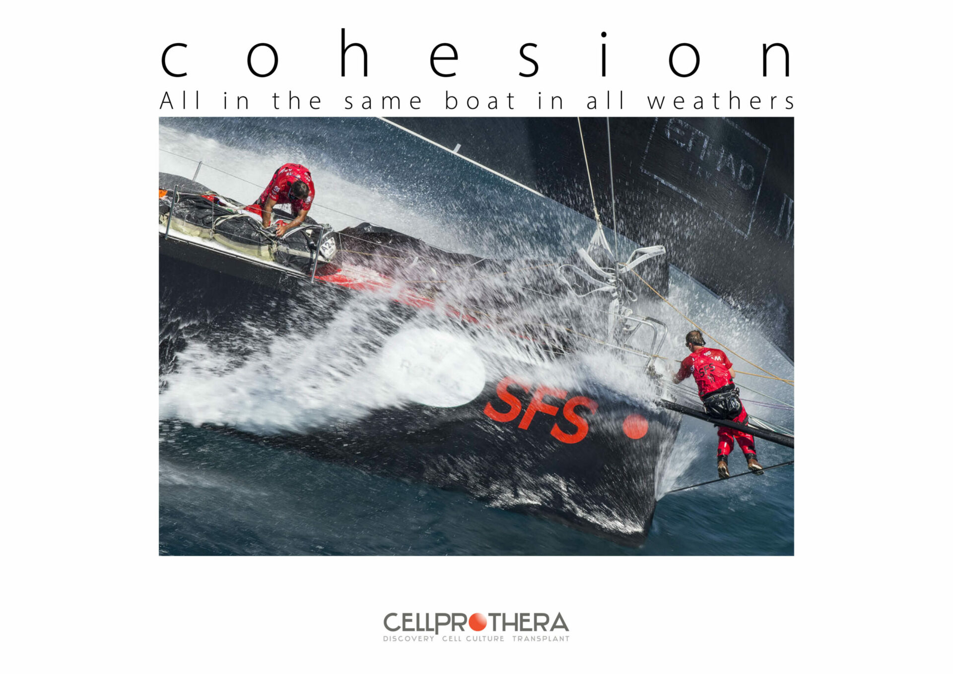 cohesion_EN