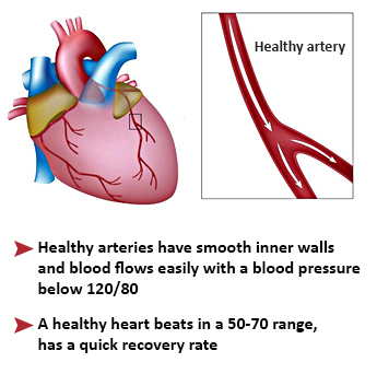 Carroussel EN - healthy heart